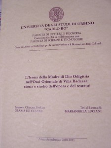 Tesi M.Luciani